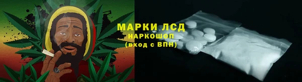 спайс Баксан