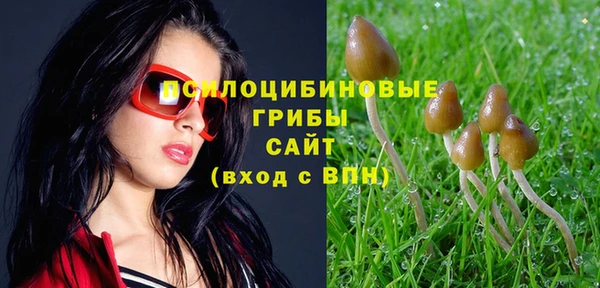соль курить ск Балахна