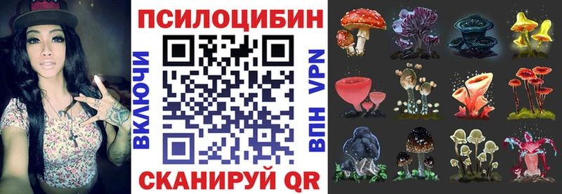 нарко площадка телеграм  Никольск  Галлюциногенные грибы Psilocybine cubensis 